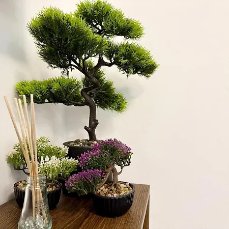 Apartment Sea Garden Pearl - *